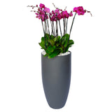 Arreglo de 7 orquídeas